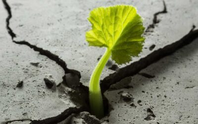 ¿Qué es la resiliencia y cómo desarrollarla?